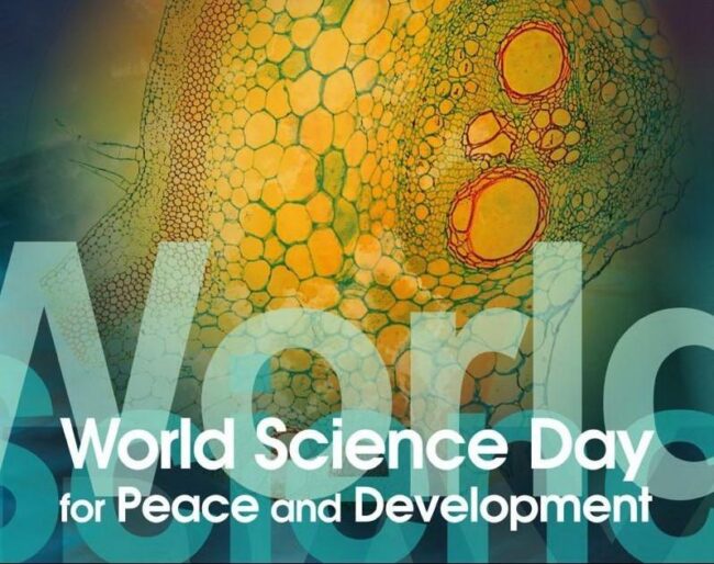 1478766255_poster_wsd_2003-e1447155972500