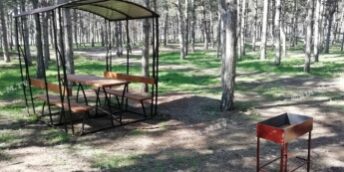 Асистент кафедри початкової освіти Саєнко Ю. - авторка проекту-переможця «Відпочинок на «УРА!»