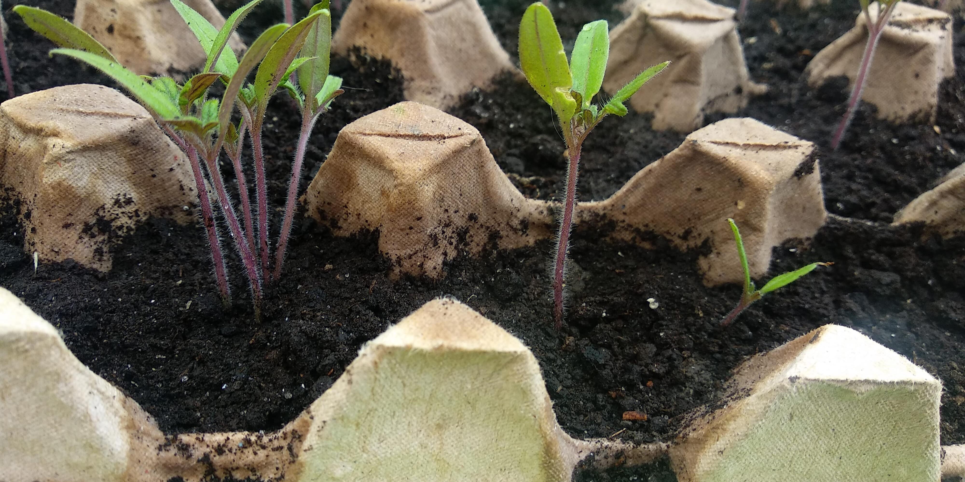 IMG_20200329_083604_1-min