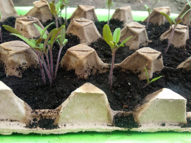 IMG_20200329_083604_1-min