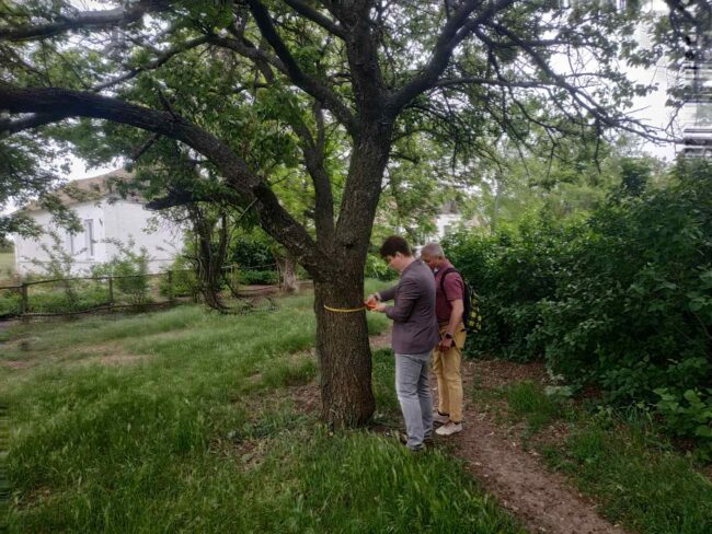 изображение_viber_2020-05-21_09-39-05