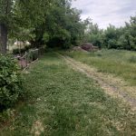 Кафедра ботаніки та садово-паркового господарства запрошує підприємців та фізичних осіб до співпраці!