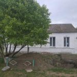 Кафедра ботаніки та садово-паркового господарства запрошує підприємців та фізичних осіб до співпраці!