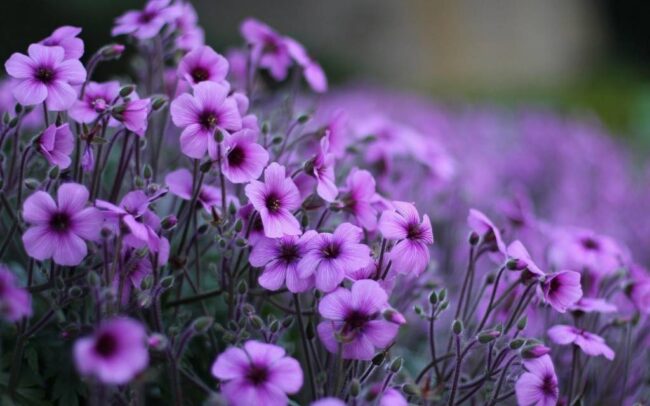 c0266aa63ff5aa3948dab0a43e920424