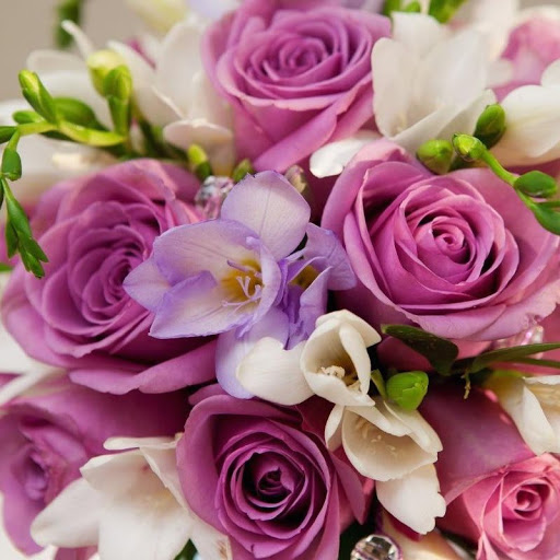 depositphotos_64906463-stock-photo-beautiful-flowers-background