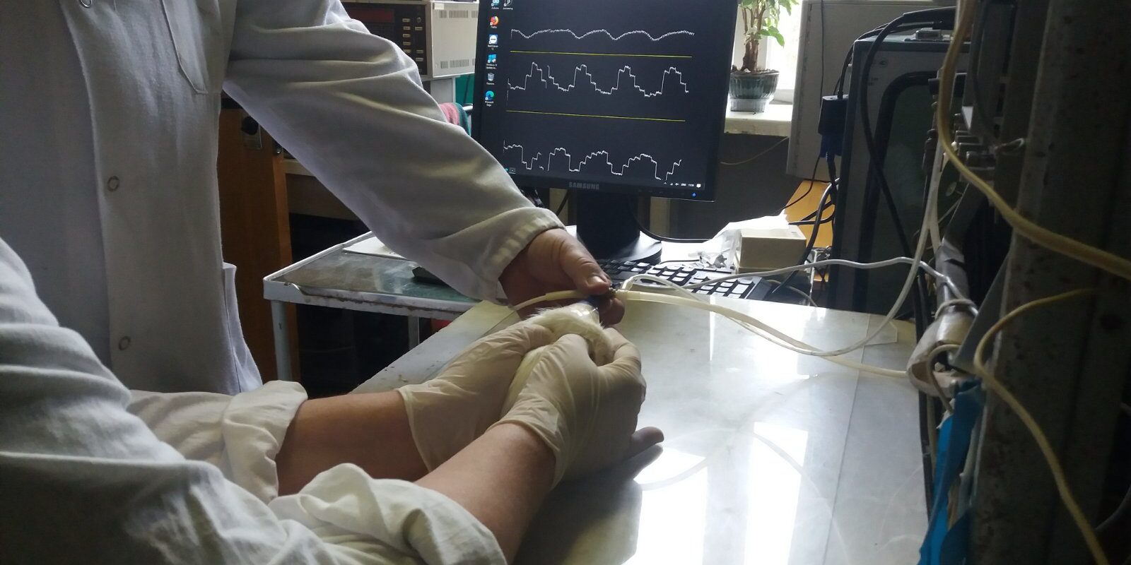 IMG-586de3eb9dda1ffb8dcd2ec30fbb252d-V