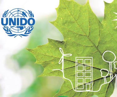 60813647_1382775951865259_482813315446210560_n