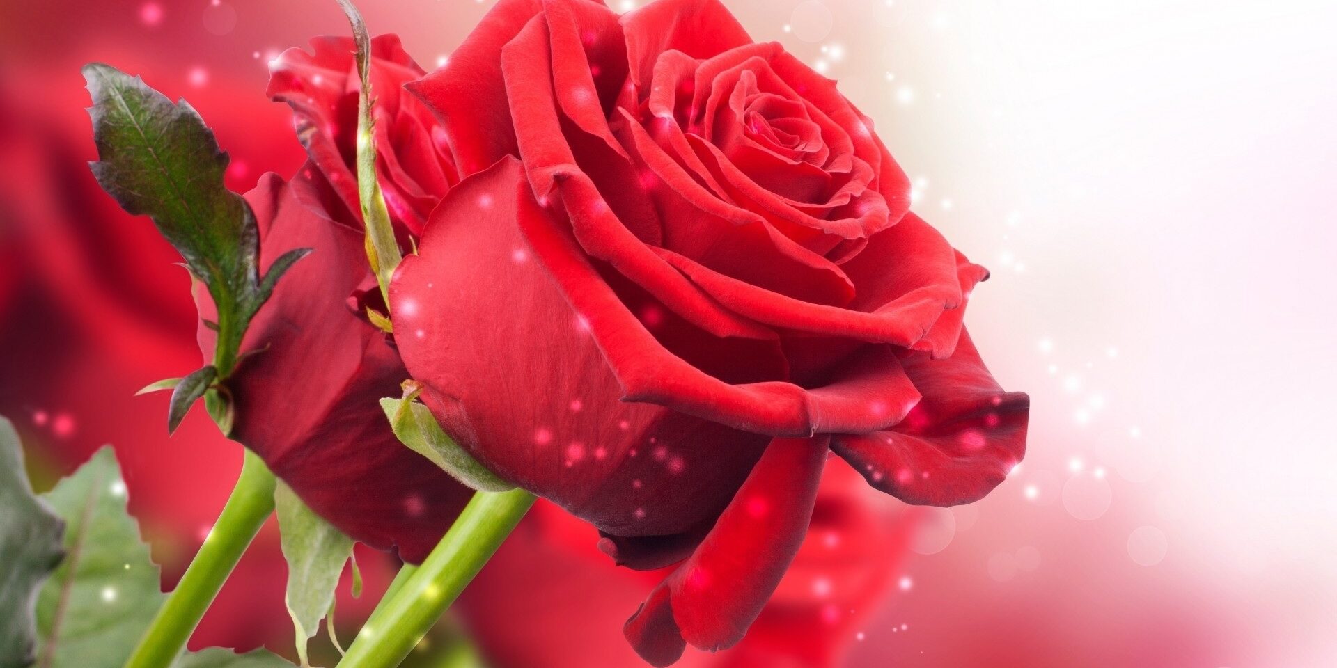 657aa9be9e1b5fa17485e9a86f971322