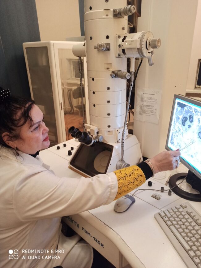 IMG-ac6f70e3ada8657abc2bd12fa9ae9e81-V