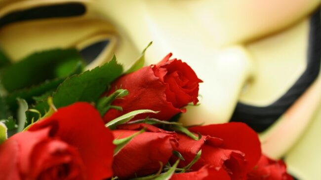 Image from million-wallpapers.ru 1366×768 (11)