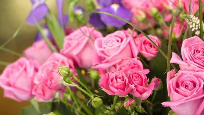 2473113e2e2726722866d6