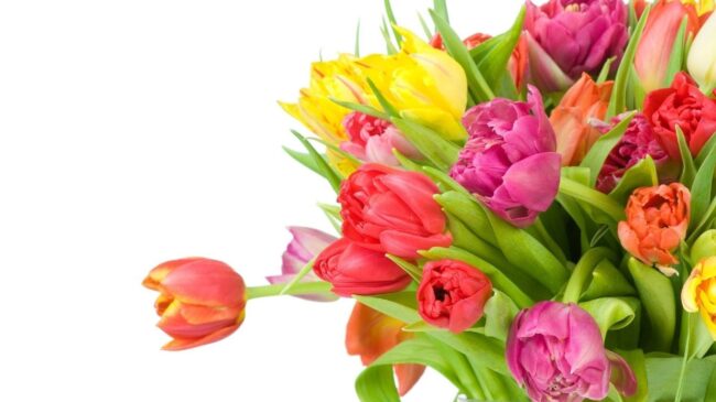 Image from million-wallpapers.ru 1366×768