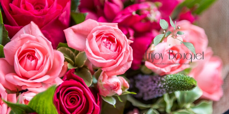 3-70c22fe904b06dc75eb2dea1fee87b02