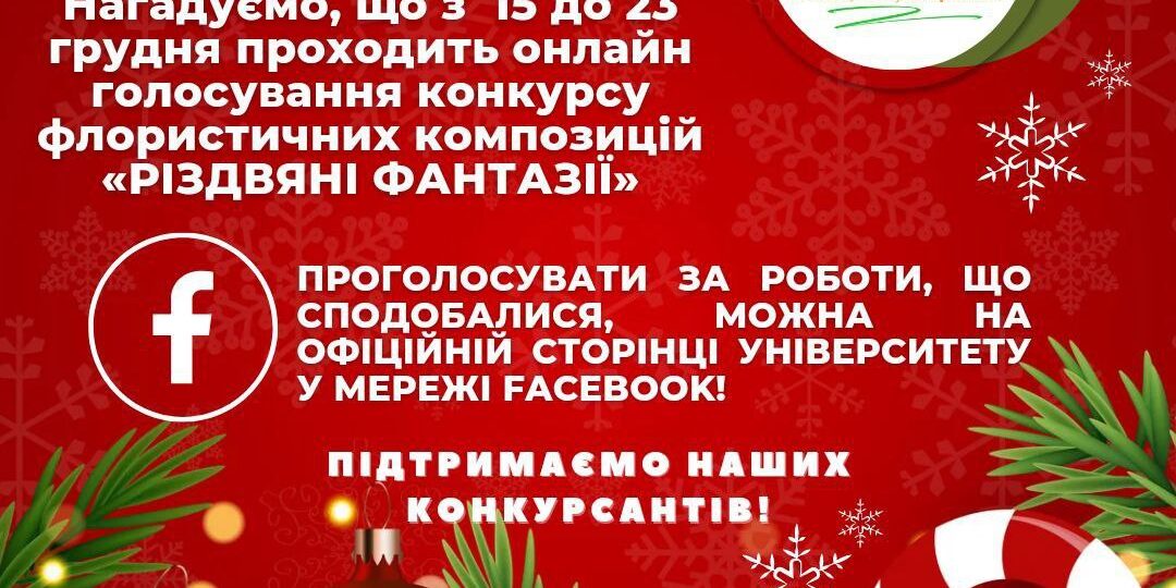 photo_2022-12-15_09-43-40