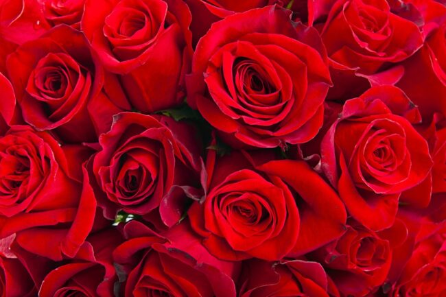 Оригинал_ 1920×1278