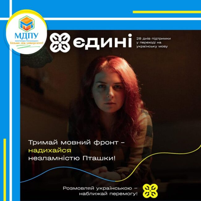 334802846_1254574578807574_2270192355127853642_n