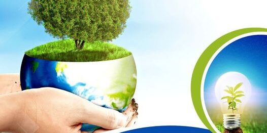 337529062_767866608243683_5834439027696605117_n