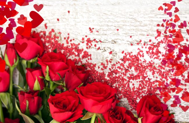 1657206341_10-pibig-info-p-krasnie-rozi-fon-12