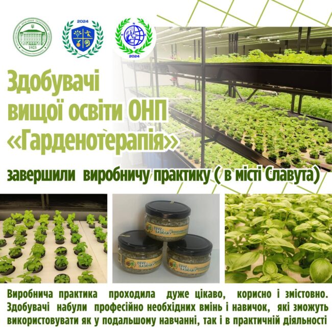 photo_2025-05-06_13-06-27